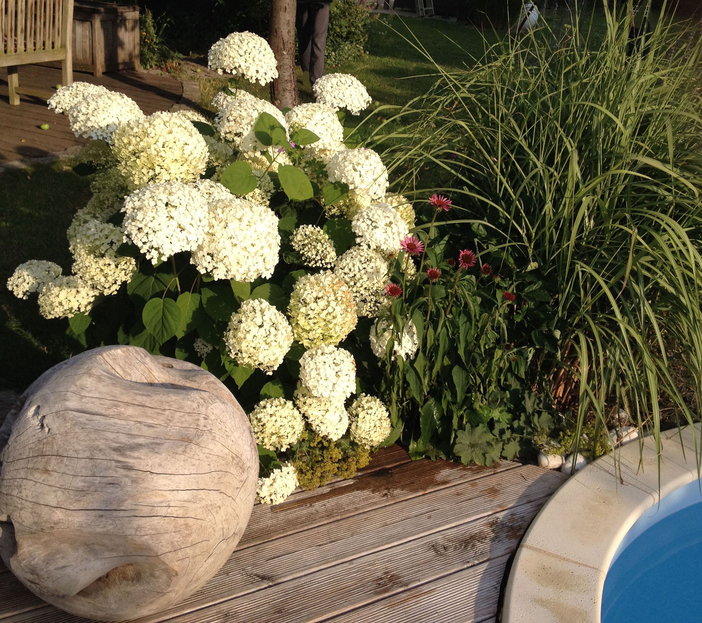 Gartengestaltung